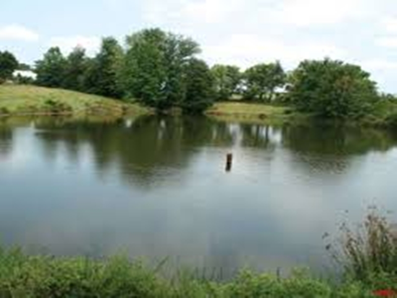 13 06 2020 pond demo1