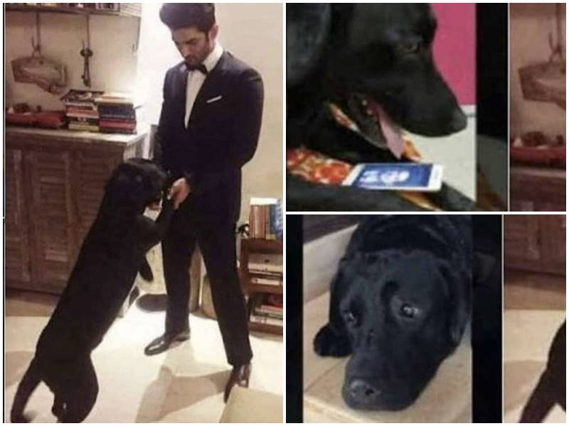 18 06 2020 sushan fudge