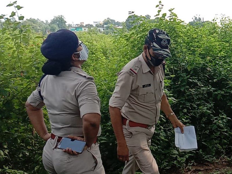 10 08 2020 madhya pradesh live news updates 2020810 103937