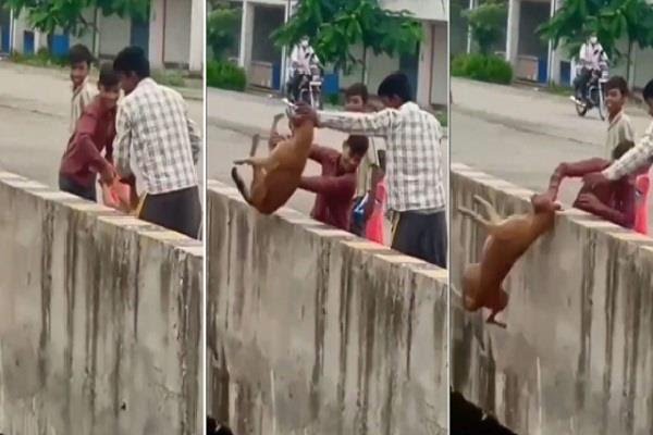 2020 9image 16 42 399369160jabal1 ll