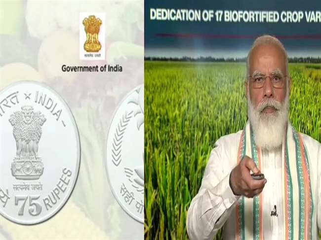 16 10 2020 75 coin 20886645 11194824