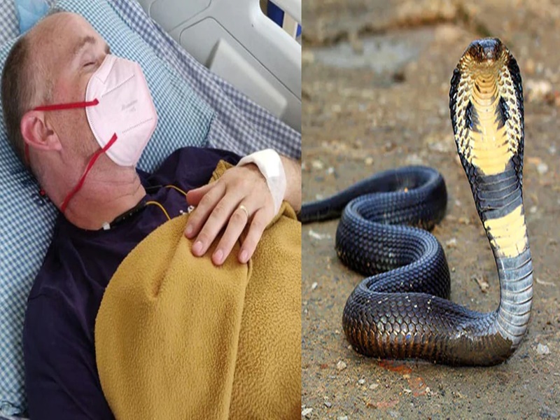 23 11 2020 dengue malaria corona