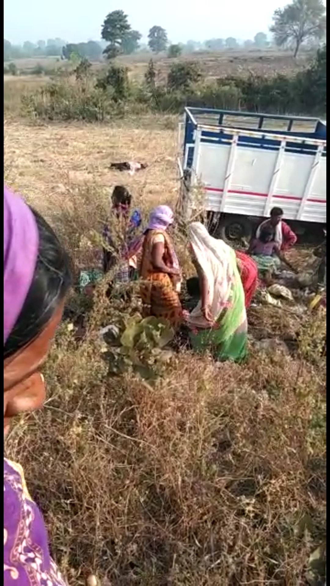 50 मजदूरों से भरा वाहन पलटा, 35 से ज्यादा घायल 5 Screenshot 20201117 121233 WhatsApp