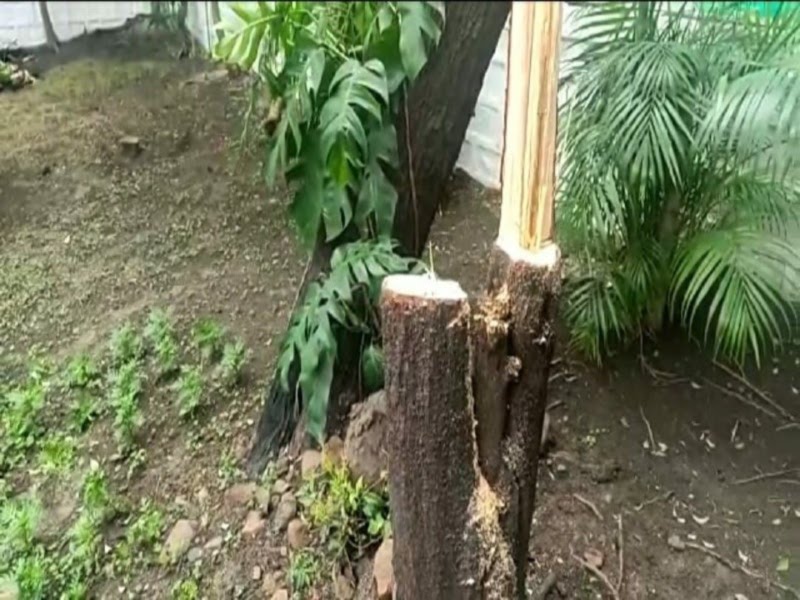 12 12 2020 12 dec 21 new