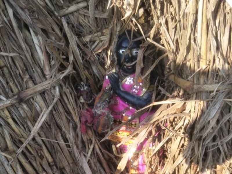 02 12 2020 cow found lord krishna idol 2020122 15424