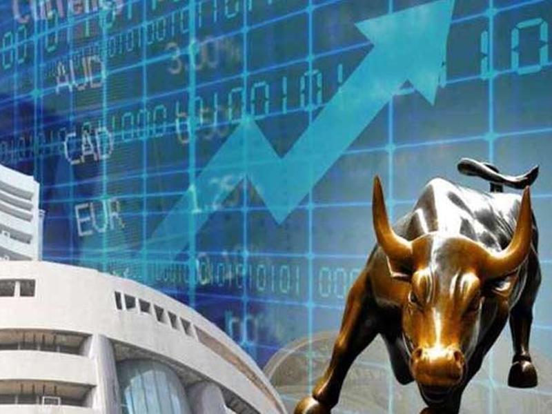 21 01 2021 share market bull