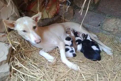 n24954149093ab08e0bec9372a9b97ca665944c6e1644cb2d3d9a5347d939dada67ecab36f