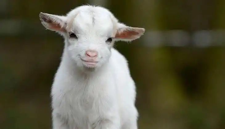 n257945546b53d9c03980f4507f507336d2b1ca67f60b52d3ee5655e7d10c2197bb50d2767