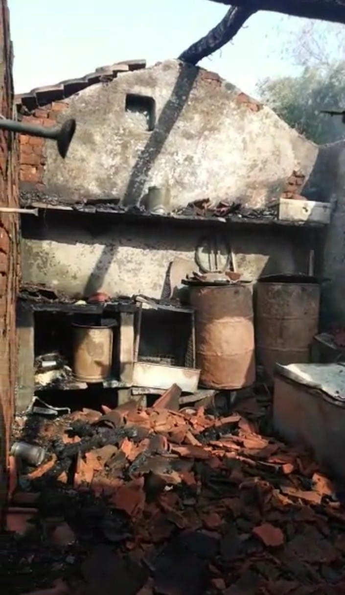 WhatsApp Image 2021 03 10 at 17.33.04 1