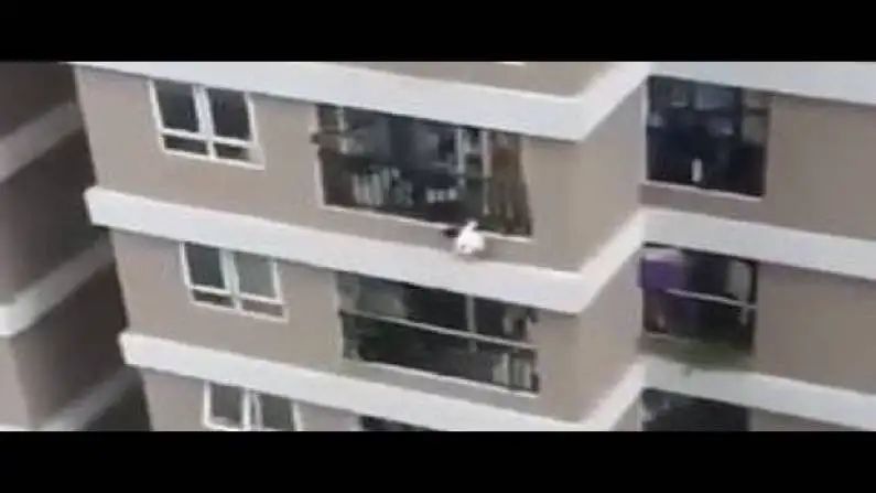 n258608436f6ccc59552ea4ee9383e057db6e095b31e4d92d9e6241100c809c60158f430ad