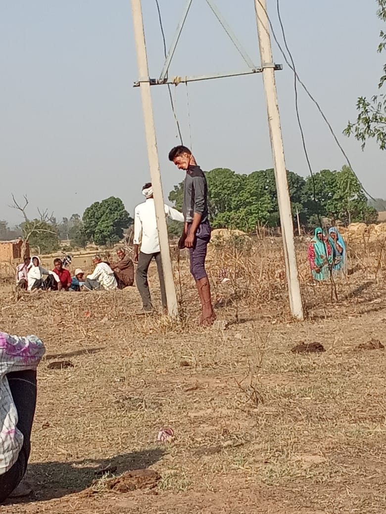 wp 1617085259046