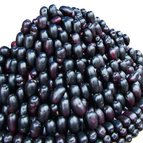 jamun fru
