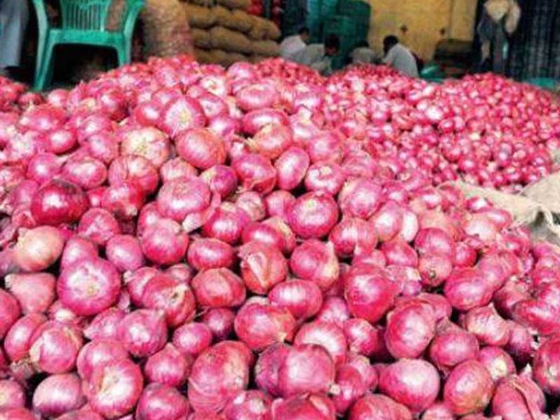 onion price