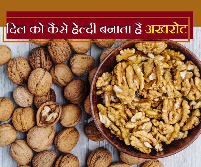 Walnut Benefits For Heart: रोज़ाना खाएंगे अखरोट तो बैड कोलेस्ट्रोल को कहेंगे 'गुडबाय' 42 walnut benefits