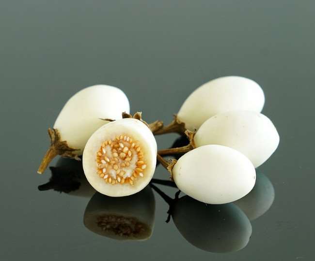 white brinjal baigan