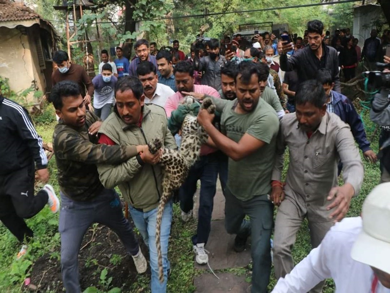 indore forest news
