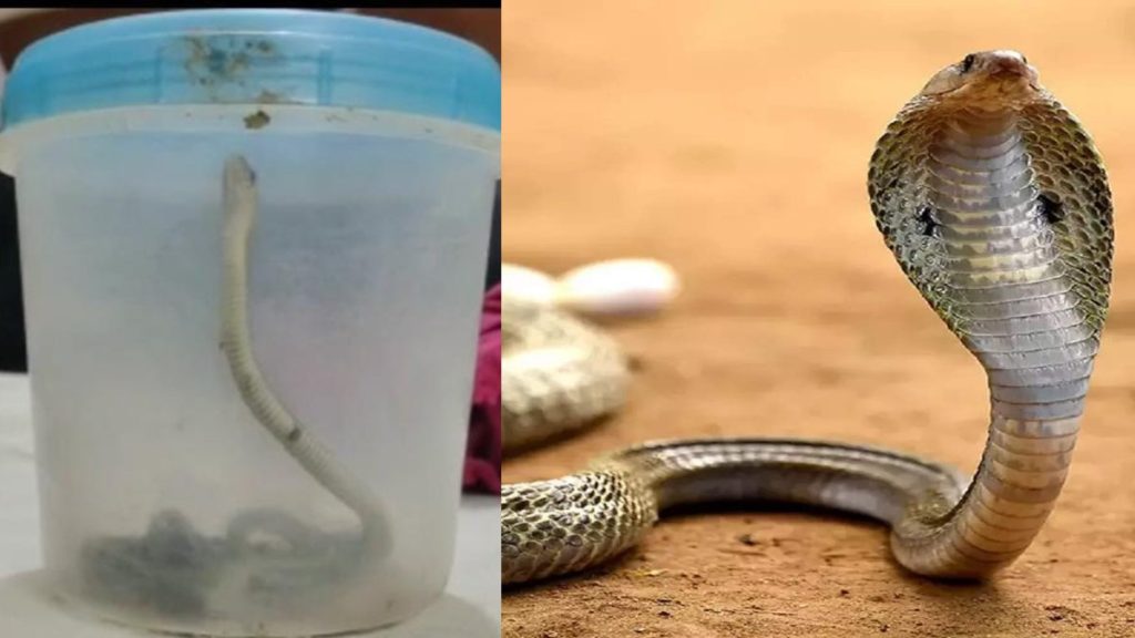 image 5 20 1024x576 1