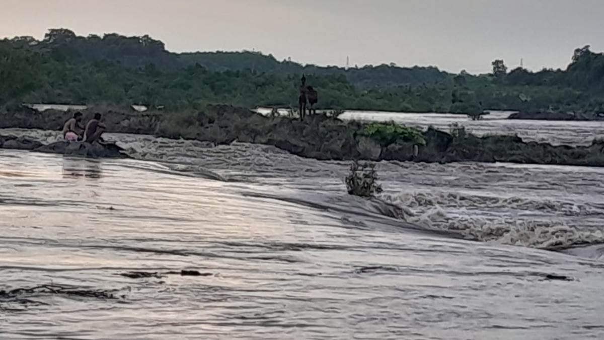 09 07 2023 bhedaghat narmada jabalpur water