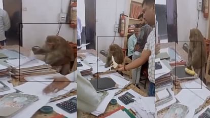 fail jacata bthara 1697282492