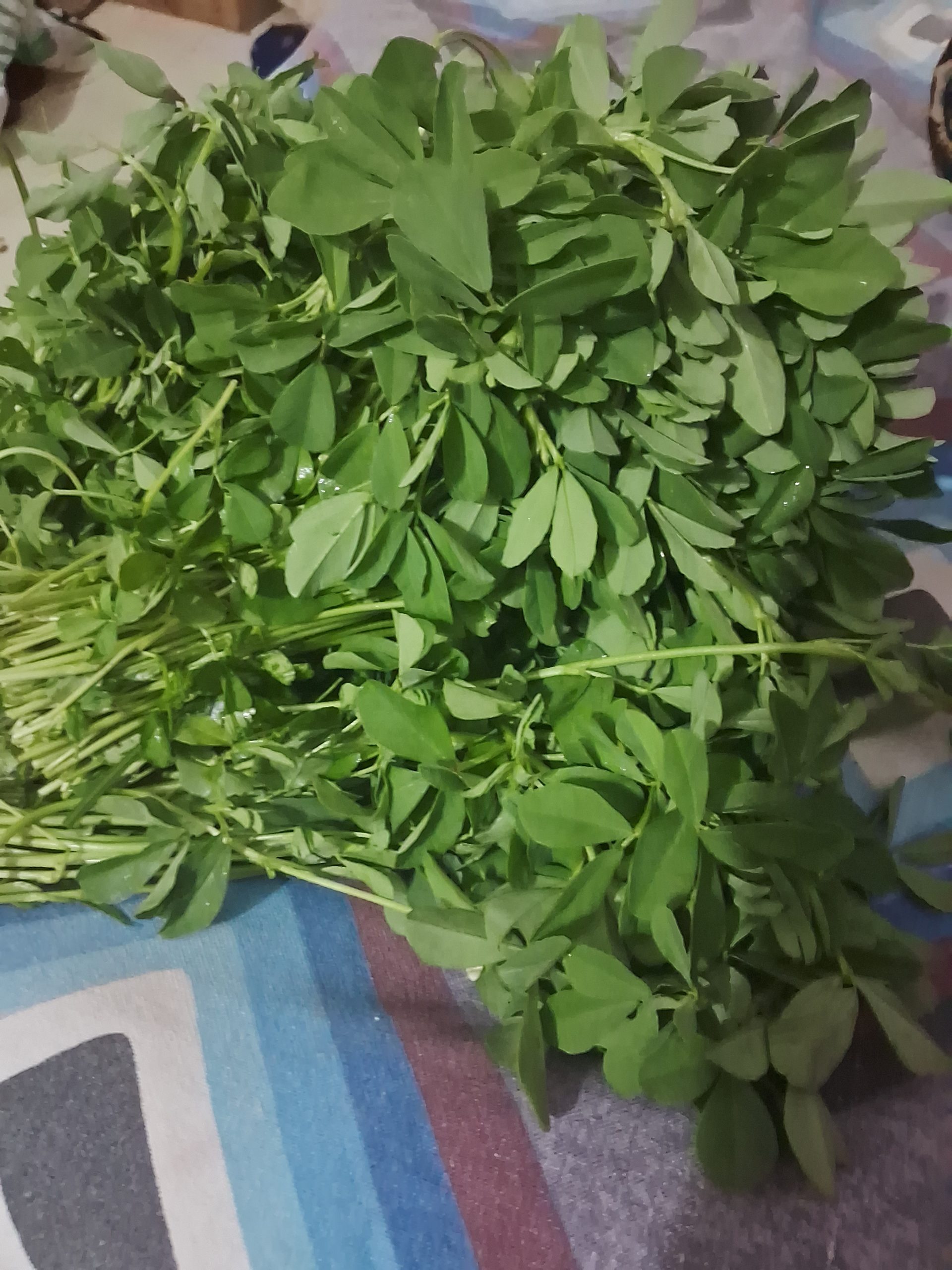 20231122 094207 scaled