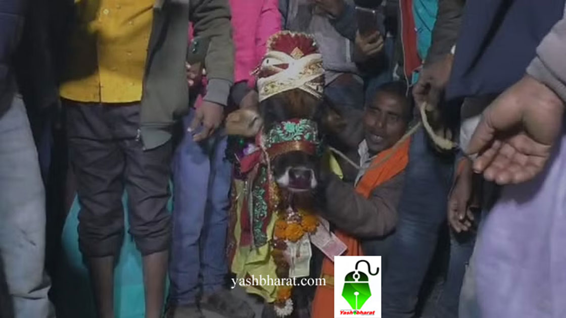 bahraich shadi