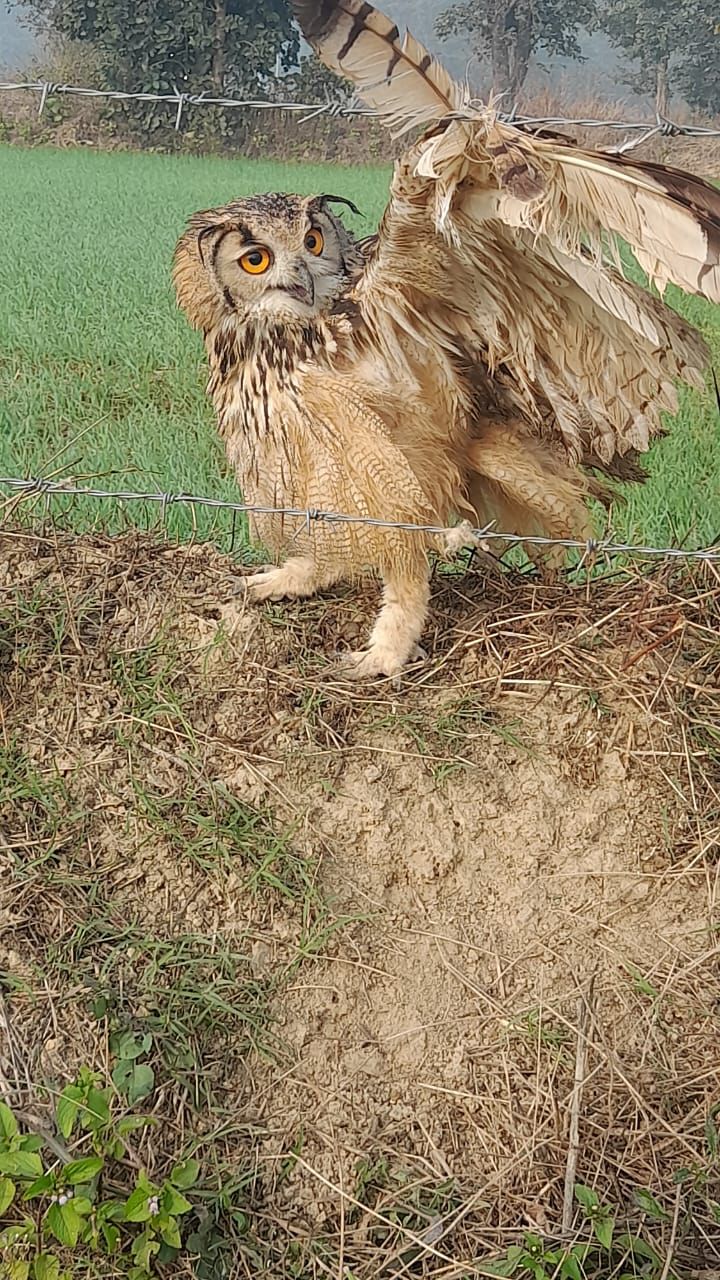 wp 17033224879301948622937289008636