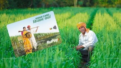 Kisan Credit Card से सस्ती ब्याज दरों पर मिलता है इतना लोन, यहाँ जाने पात्रता और आवश्यक दस्तावेज
