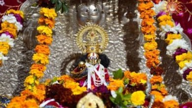 NPIC 20241187289 450x300 1