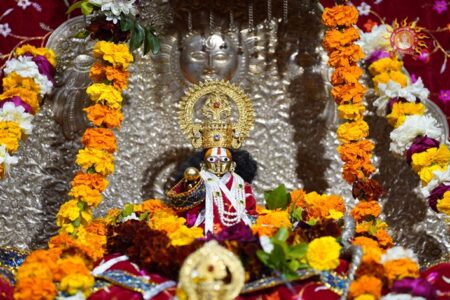 NPIC 20241187289 450x300 1