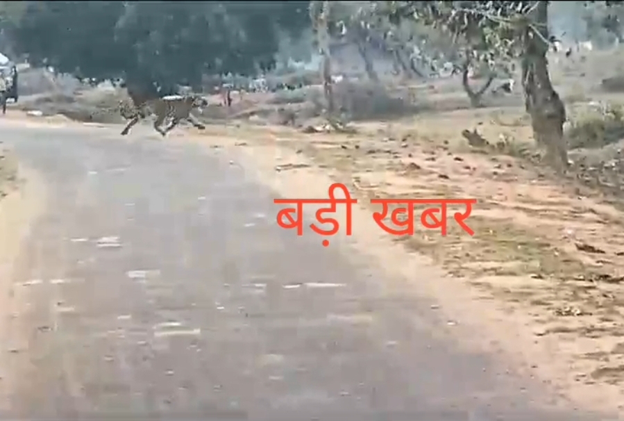 Screenshot 20240130 214151 WhatsApp