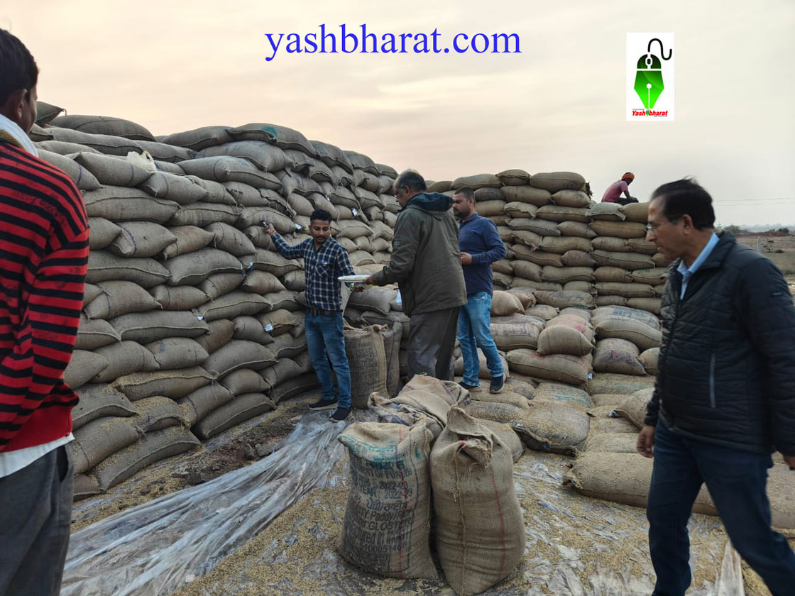 ware house katni galla mand