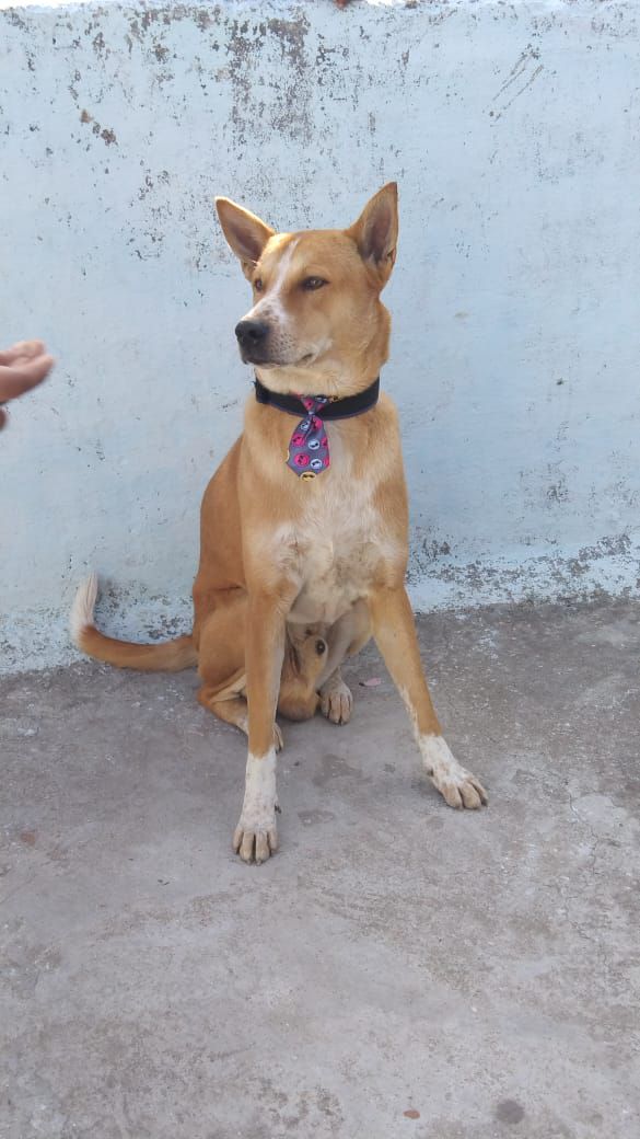 wp 17047057628925389409511855584569