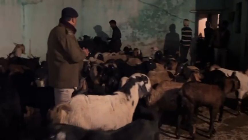 wp 17049941418855447219421791105304