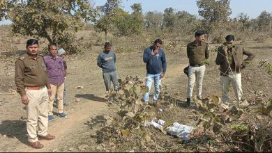 wp 17054167523438293559597218258548