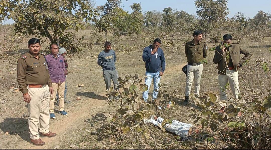 wp 17054167523438293559597218258548