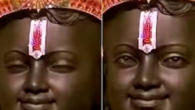 wp 17060970241116218241252623923400