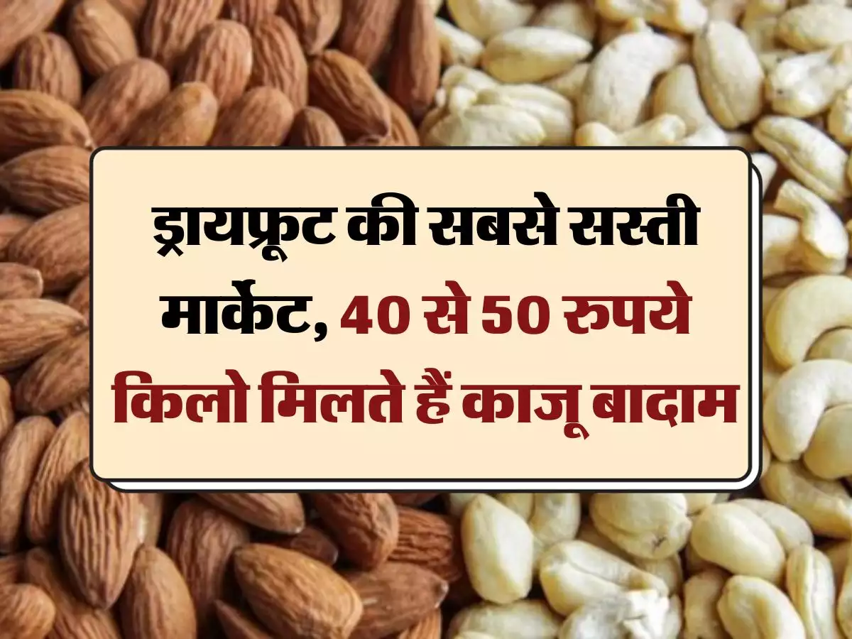 भारत में काजू और बादाम 40 से 50 रुपये में 1 किलो मिलते है जानिए किस जिले में मिलते है