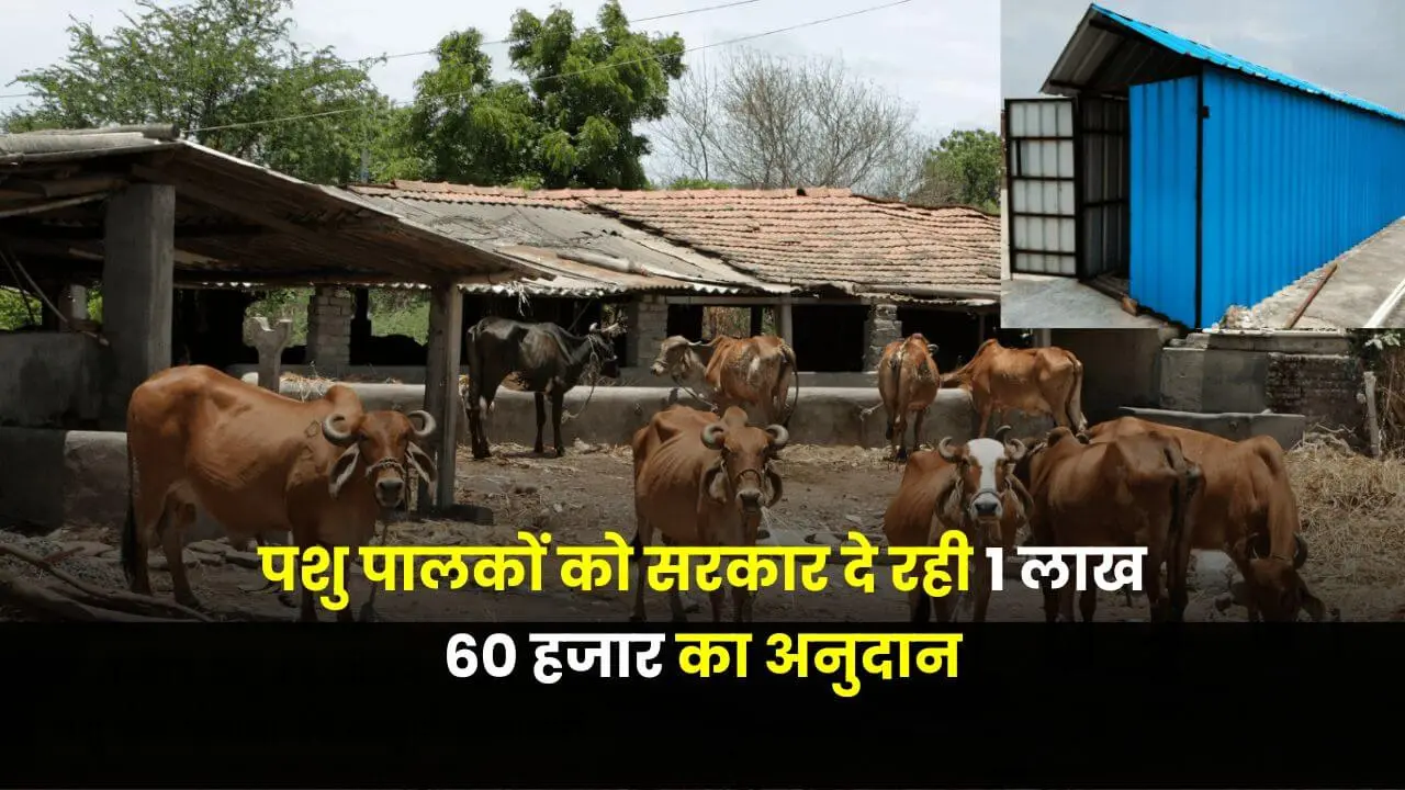 सरकार किसानो को पशु घर बनाने के लिए 1लाख 60 हजार रुपये देंगी जानिए पूरी जानकारी
