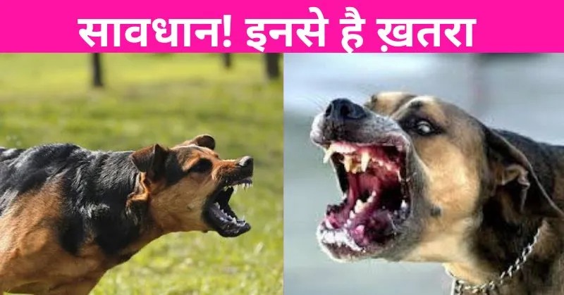 5b89997c 6cc5 48c0 889b b5ff2cacfff6