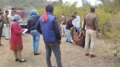 Screenshot 20240213 111015 WhatsApp