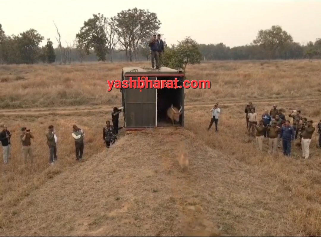 Screenshot 20240215 132014 WhatsApp