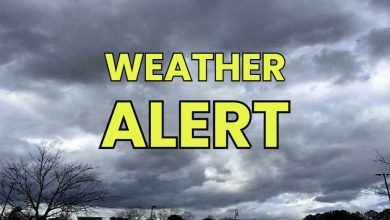 WhatsApp Image 2024 02 10 at 13.49.16