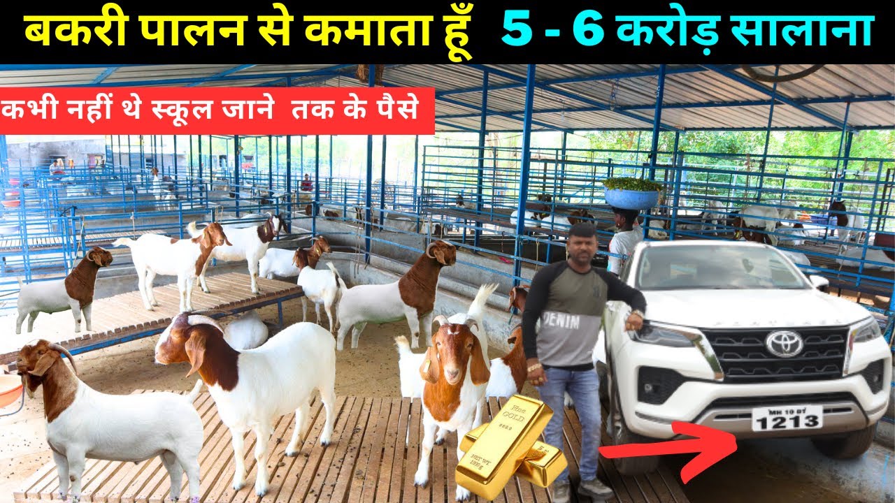 Goat Farming 2024: ये नस्ल की बकरी पालन कर महीने भर में करोड़पति बन जाओगे जानिए कौन सी नस्ल की बकरी है