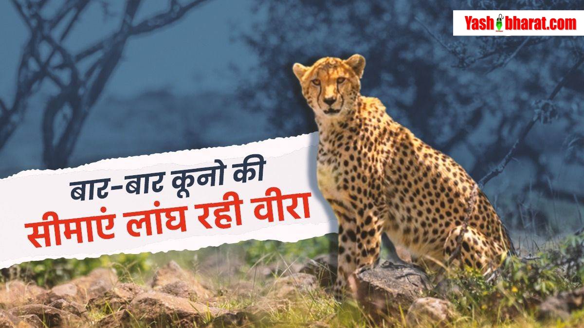 19 05 2024 heart operation aiims bhopal 2024519 164142