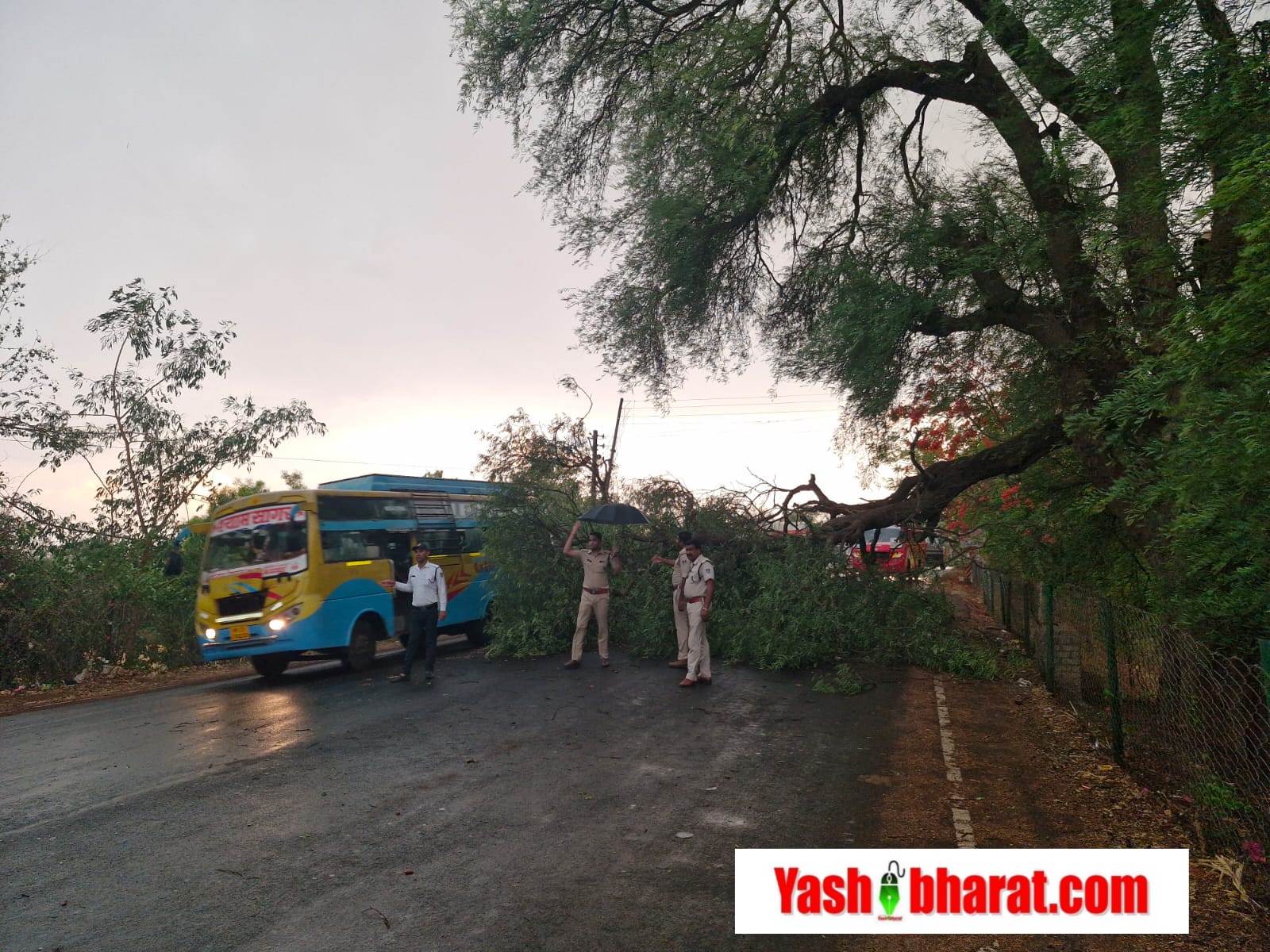 तेज आंधी तूफान से सडक पर गिरी भारी भरकम वृक्ष की डगाल 22 IMG 20240508 WA0002