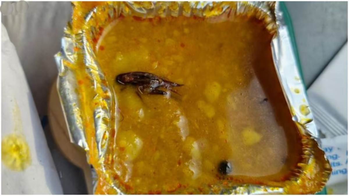 21 06 2024 insect in dal vb 2154