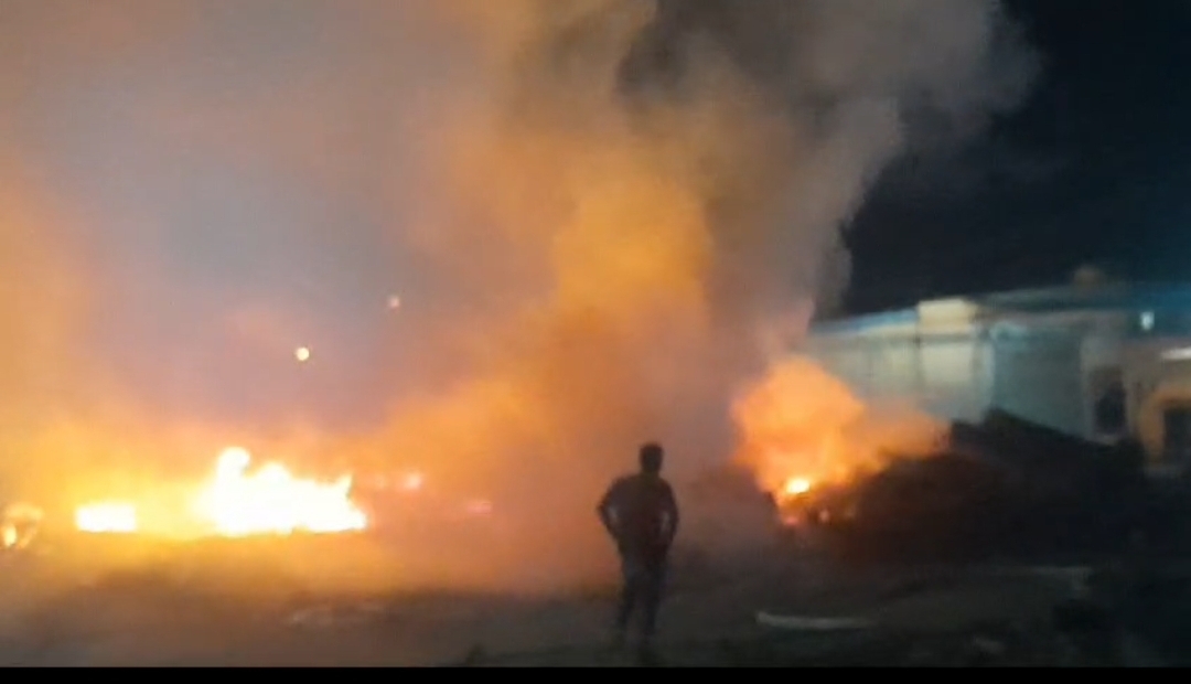 Screenshot 20240611 014454 WhatsApp