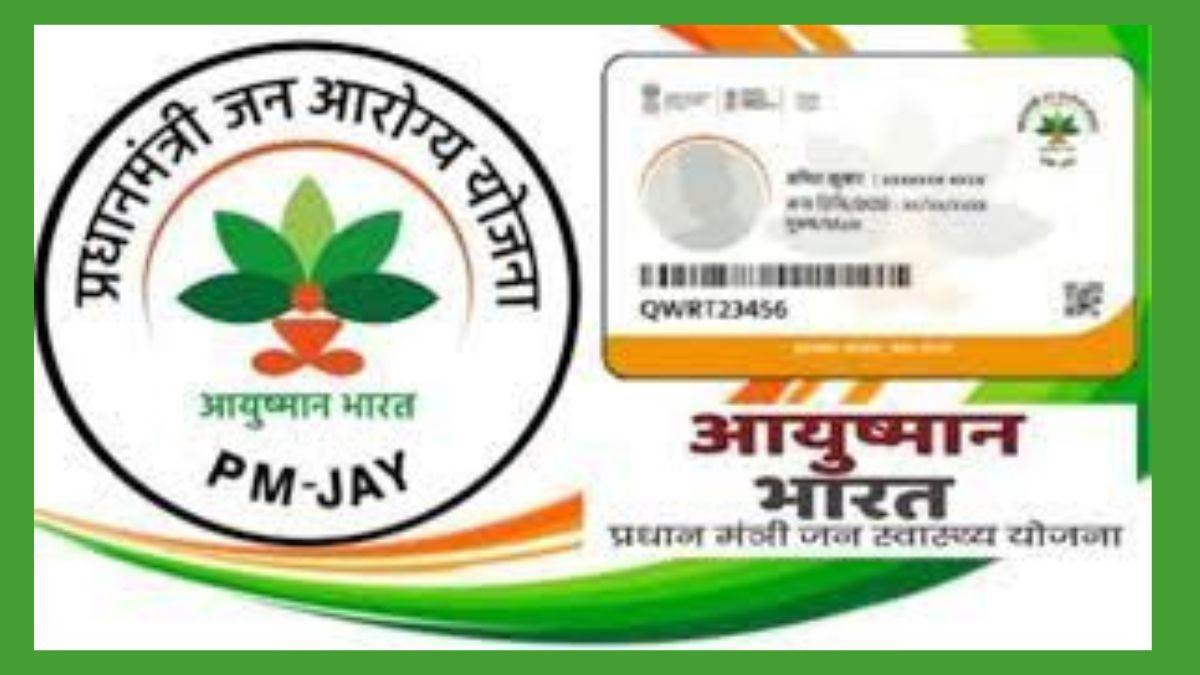 WhatsApp Image 2024 06 12 at 15.04.50 e067a7df