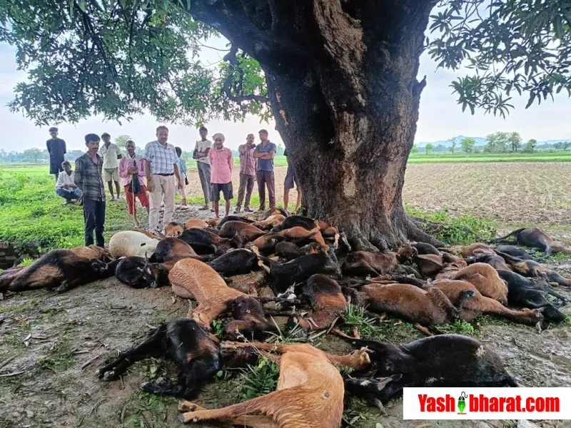 IMG 20240723 WA0055 1068x801 1