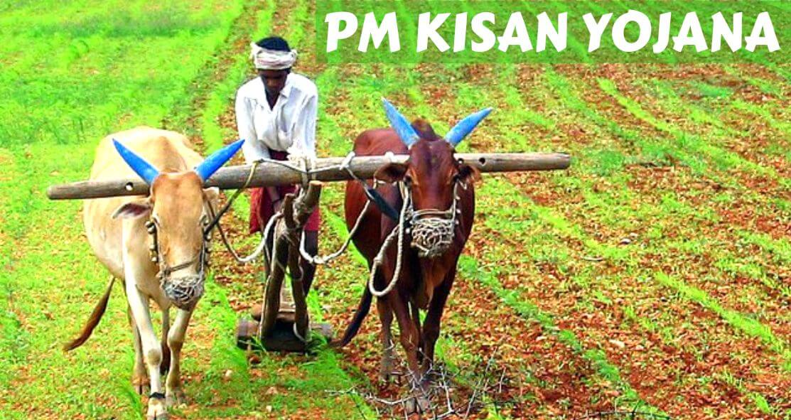 PM Kisan Yojana